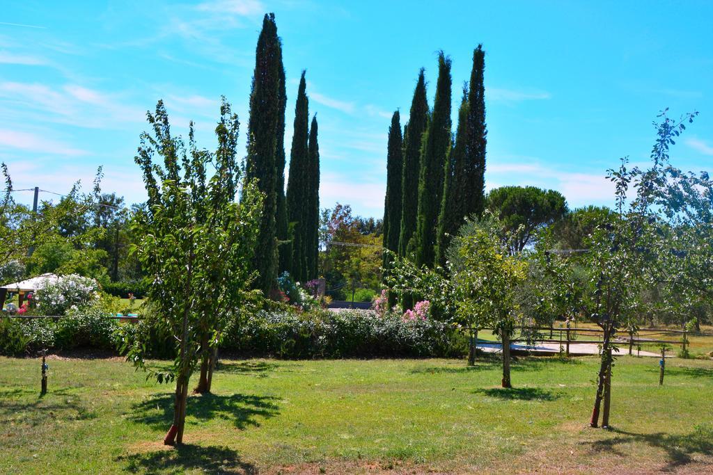 Agriturismo L'Aquilone Magliano in Toscana Εξωτερικό φωτογραφία