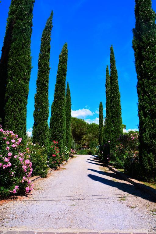 Agriturismo L'Aquilone Magliano in Toscana Εξωτερικό φωτογραφία