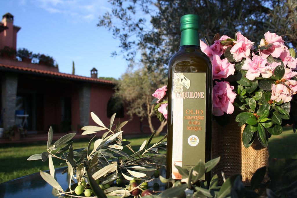 Agriturismo L'Aquilone Magliano in Toscana Εξωτερικό φωτογραφία