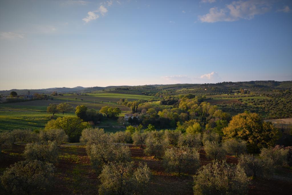 Agriturismo L'Aquilone Magliano in Toscana Εξωτερικό φωτογραφία